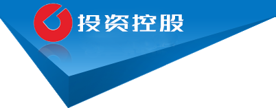 四川省凉山彝族自治州美姑县谢质监皮革原料合伙企业